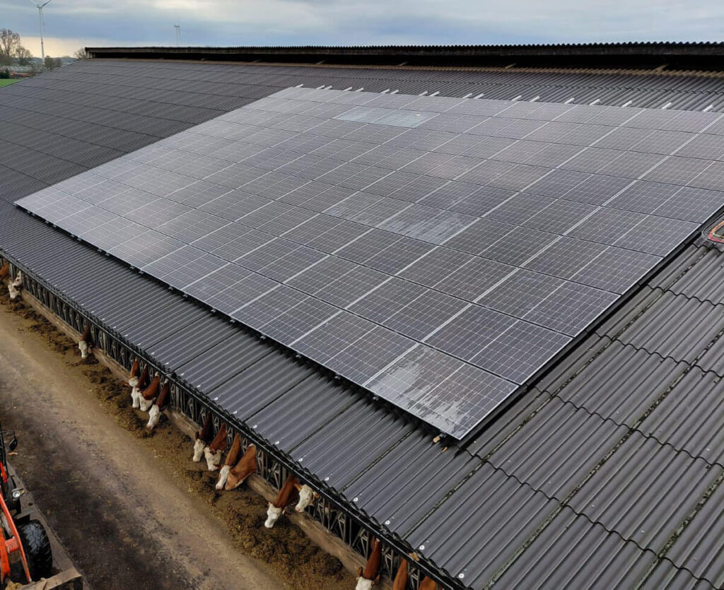 180 Jinko Tiger Neo zonnepanelen bij landbouwbedrijf Van de Mierop