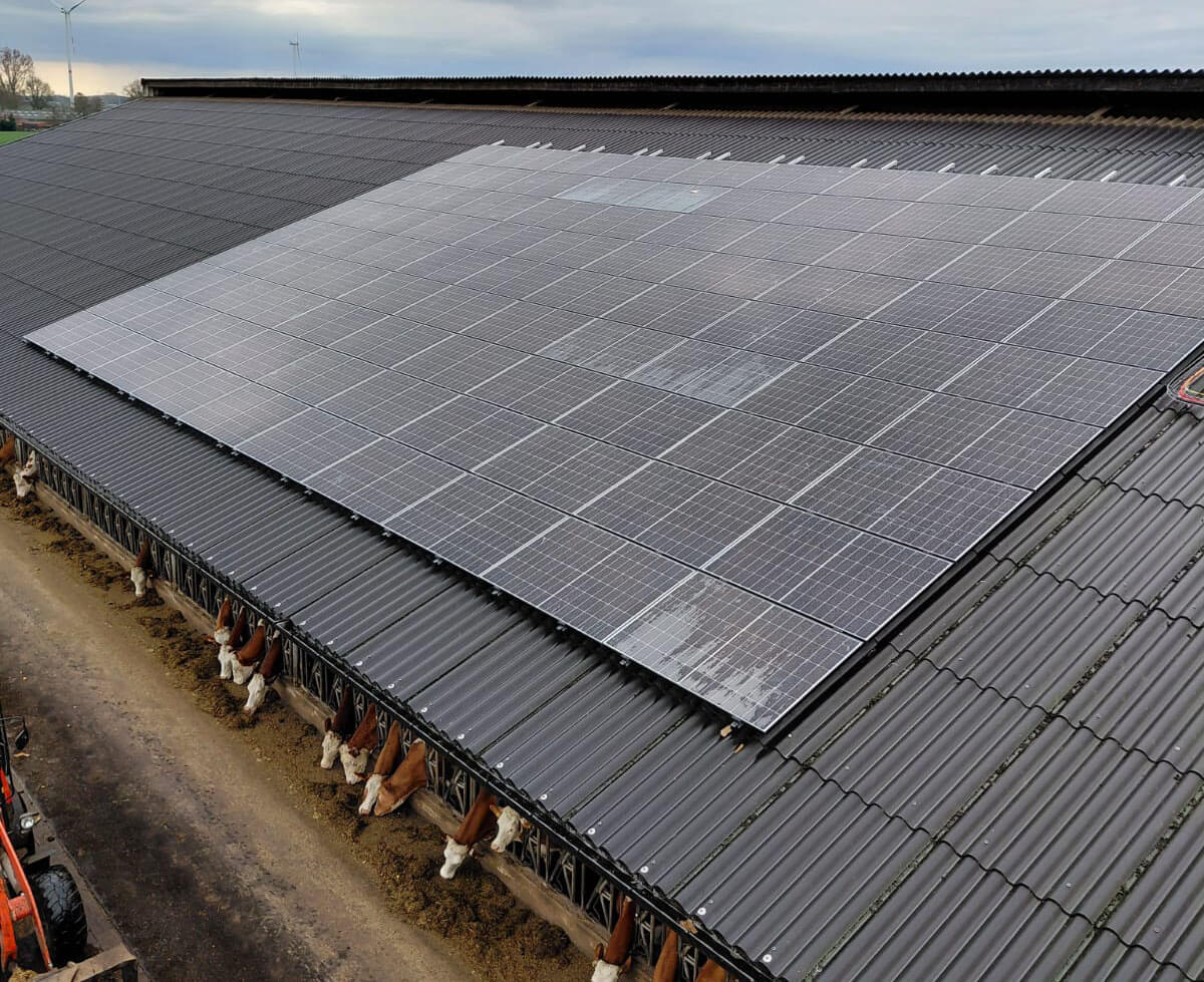 180 Jinko Tiger Neo zonnepanelen bij landbouwbedrijf Van de Mierop